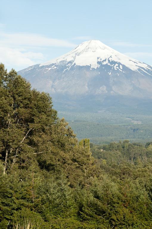 Cabanas Patagonia Lefun Pucon Ngoại thất bức ảnh